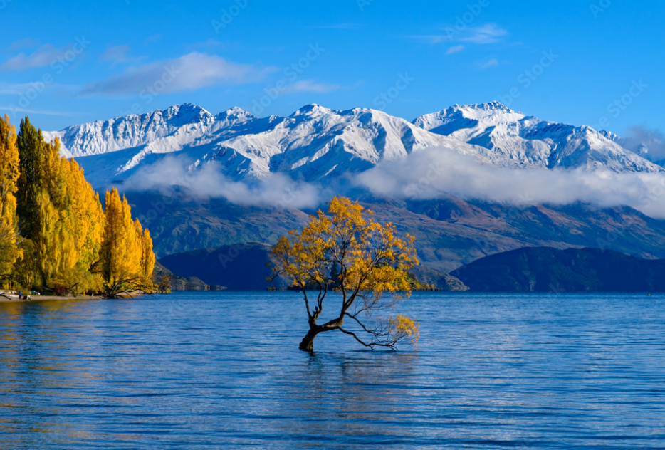 Queenstown to Wanaka Small Group Tour (One Way) - Photo 1 of 4